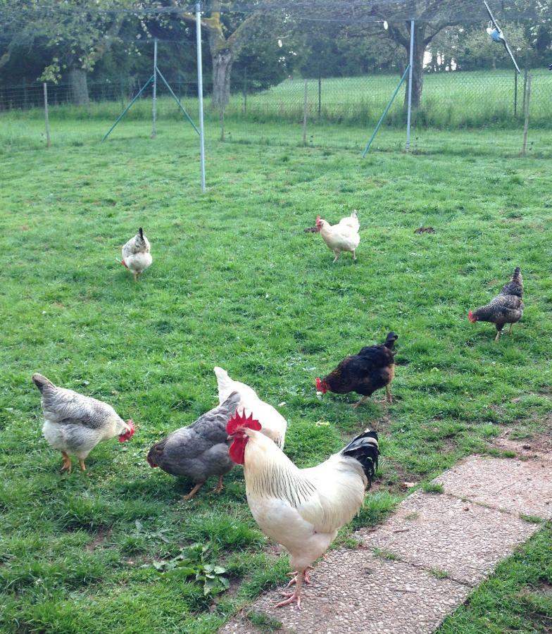 Ferienwohnung Land-Idylle Illingen  Zewnętrze zdjęcie